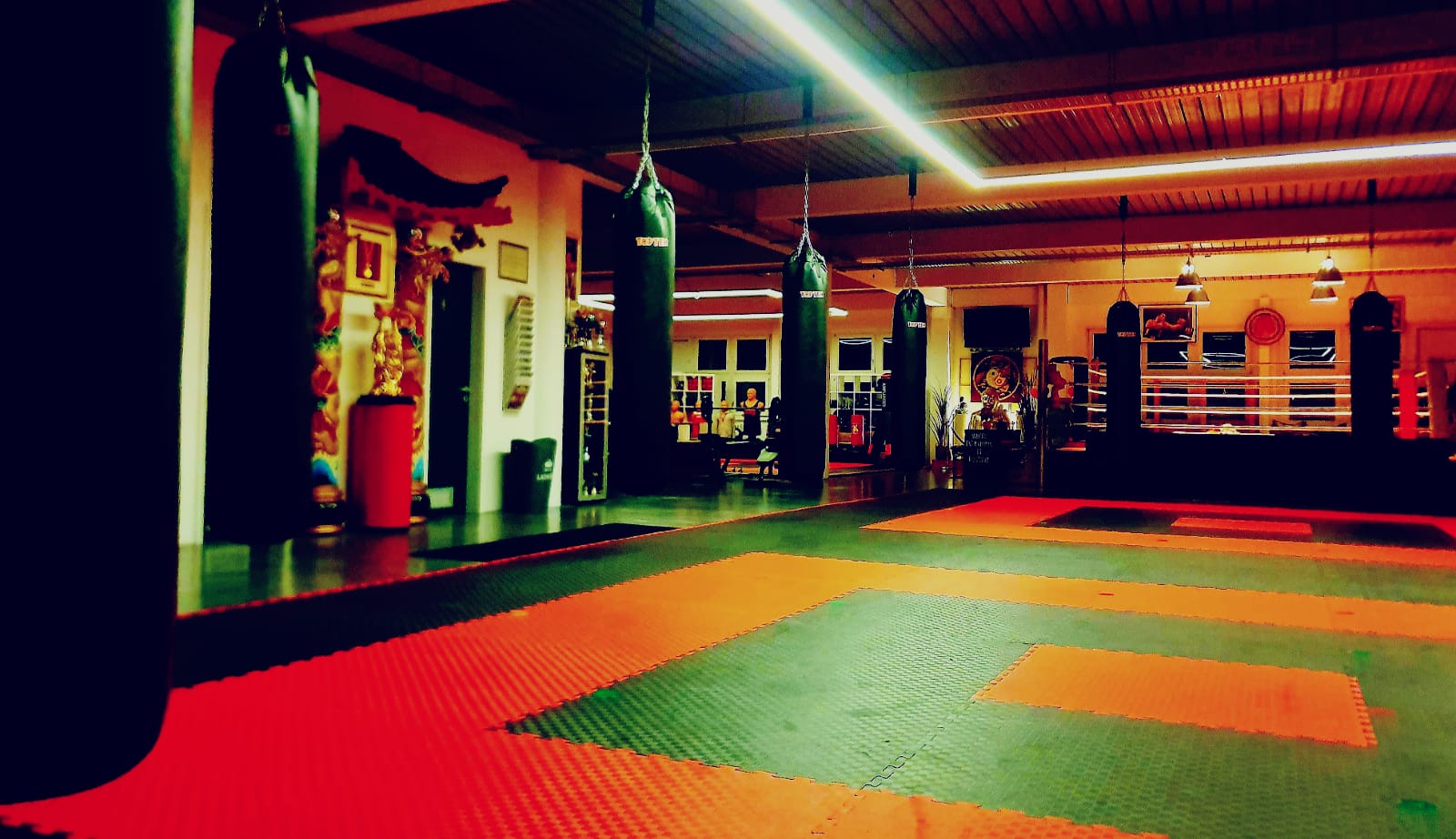 Trainingsraum mit Kampfsportmatten
